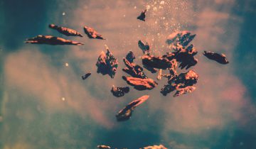 What Are The Benefits Of Oud Oil?