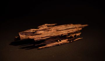 Oud and Agarwood products