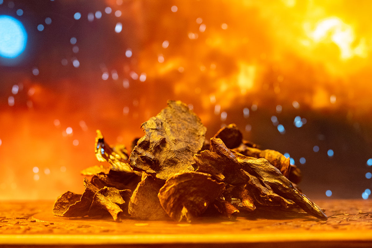 How much does Oud cost?