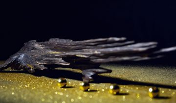 Why Is Oud Used in High-End Perfumes and Fragrancies?